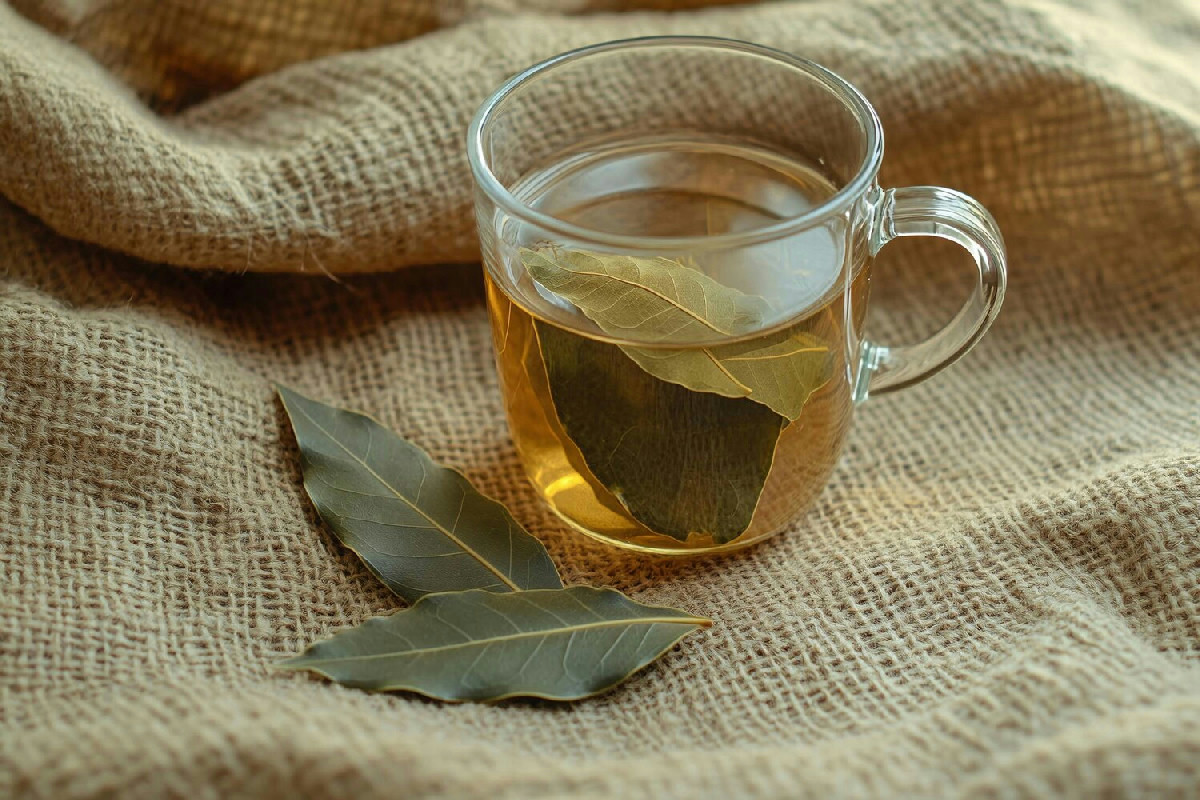 Bere una tisana di alloro ogni sera favorisce il rilassamento e il benessere completo del corpo e della mente