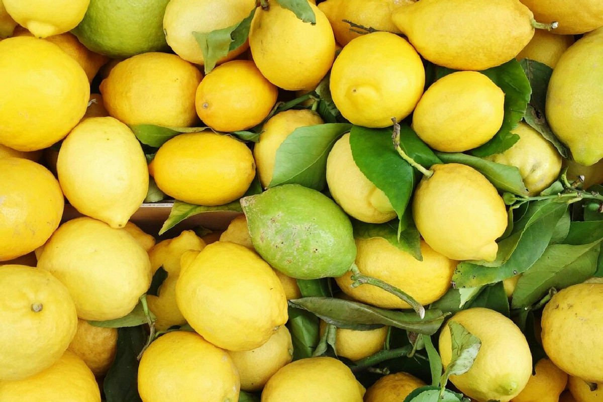 Il limone in casa: funziona davvero come disinfettante naturale e quali sono i suoi effetti reali