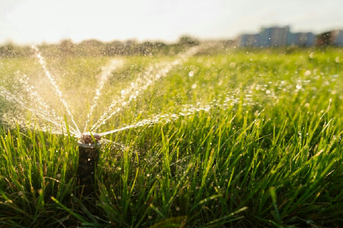 Questo intervento in giardino cambia il destino del terreno e previene ristagni pericolosi
