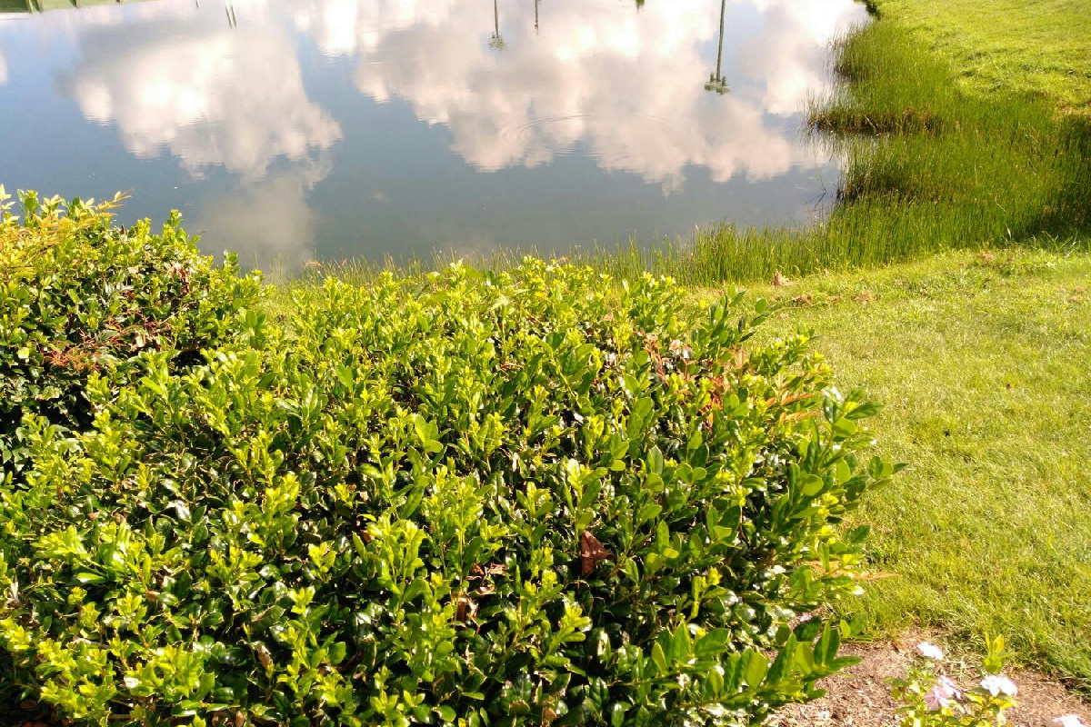 Questo intervento in giardino cambia il destino del terreno e previene ristagni pericolosi